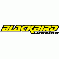 Blackbird Racing | Brands of the World™ | Download vector logos and logotypes