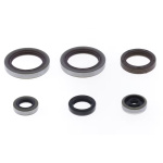 SERIE PARAOLI MOTORE BETA RR 125/200 2tempi 2018-2025 - immagine 3