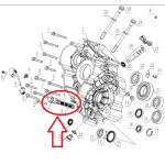 KIT FILTRO OLIO A RETE IN PLASTICA + OR + VITE originale KOVE 450 RALLY/RALLY PRO - immagine 6