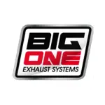 MARMITTA BIG ONE per BETA 50 RR 2022/2026 - immagine 5