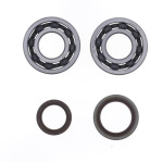 KIT REVISIONE ALBERO MOTORE per BETA RR / RR RACING 125/200 2 tempi - immagine 3