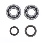 KIT REVISIONE ALBERO MOTORE per BETA RR / RR RACING 125/200 2 tempi - immagine 3