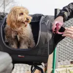 T525 - GIVI BORSA PER IL TRASPORTO ANIMALI - immagine 7