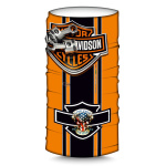 SMOTARD HARLEY-DAVIDSON - immagine 3