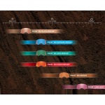 Mascherina CROSS OAKLEY AIRBRAKE TLD BLUE BANNER 007046-D1 - immagine 2