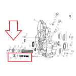 KIT FILTRO OLIO A RETE IN PLASTICA + OR + VITE originale KOVE 450 RALLY/RALLY PRO - immagine 5