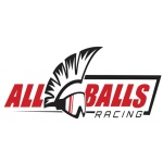 KIT REVISIONE RUOTA POSTERIORE YAMAHA - immagine 2