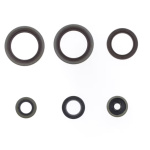 SERIE PARAOLI MOTORE BETA RR 125/200 2tempi 2018-2025 - immagine 4