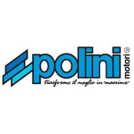 ALBERO MOTORE POLINI ANTICIPATO RACING PER PIAGGIO VESPA 50 SPECIAL cono 20 art. 210.0055 - immagine 2