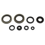 SERIE PARAOLI MOTORE SUZUKI RM 250 1993 - 1995 - immagine 3