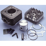 GRUPPO TERMICO POLINI 75cc IN GHISA per PIAGGIO SFERA-ZIP-FREE-TYPHOON-STORM