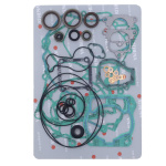 SERIE GUARNIZIONI MOTORE con PARAOLI BETA RR / RR RACING 125 2018-2025 2 tempi