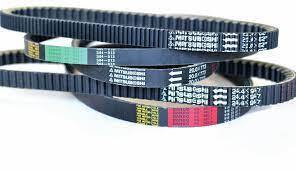 img_f69695cfaa44aa96b0a366766a9927bc.jpg CINGHIA BERGAMASCHI DENTATA per BRAVO/SUPERBRAVO SENZA VARIATORE art. G8010501 - immagine 1